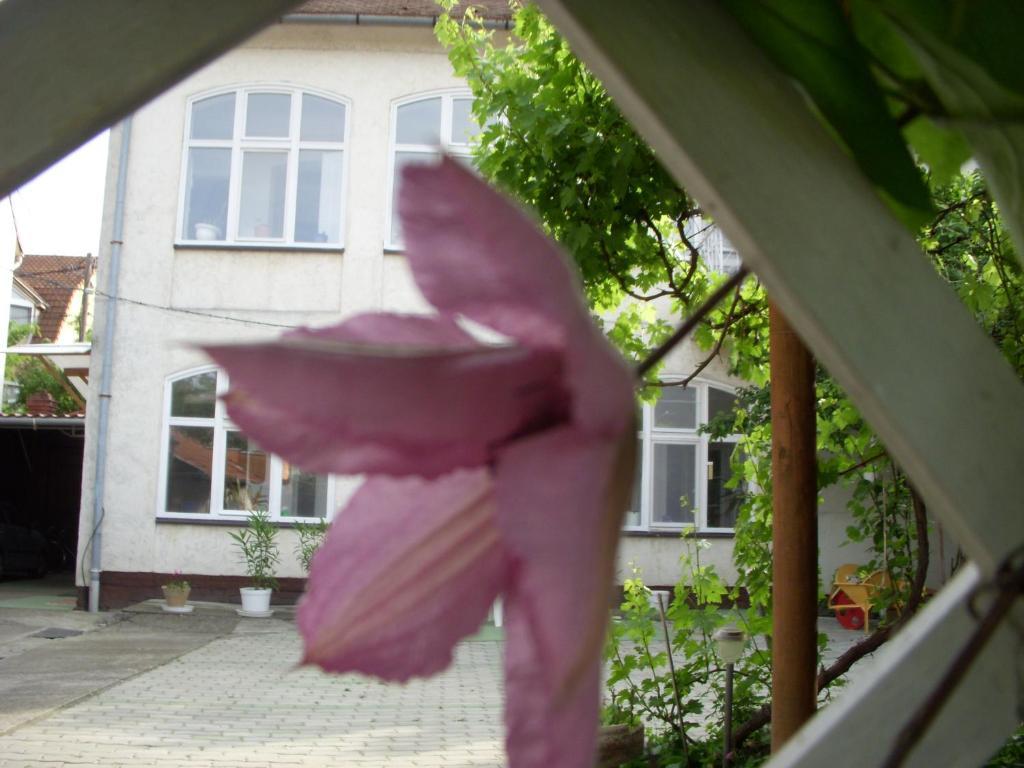 Garden Szivarvany Utcai Vendeghaz Szeged Exteriör bild